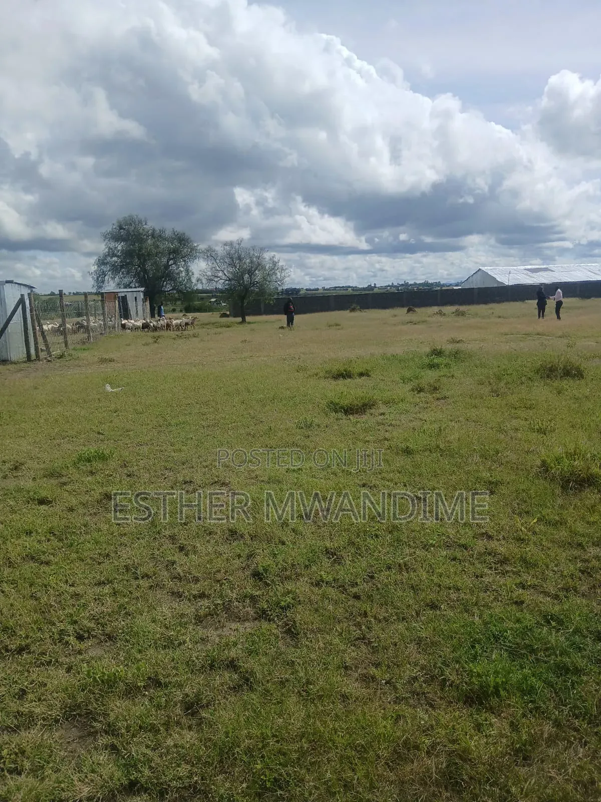 50×100 Plots in Kitengela in Kitengela