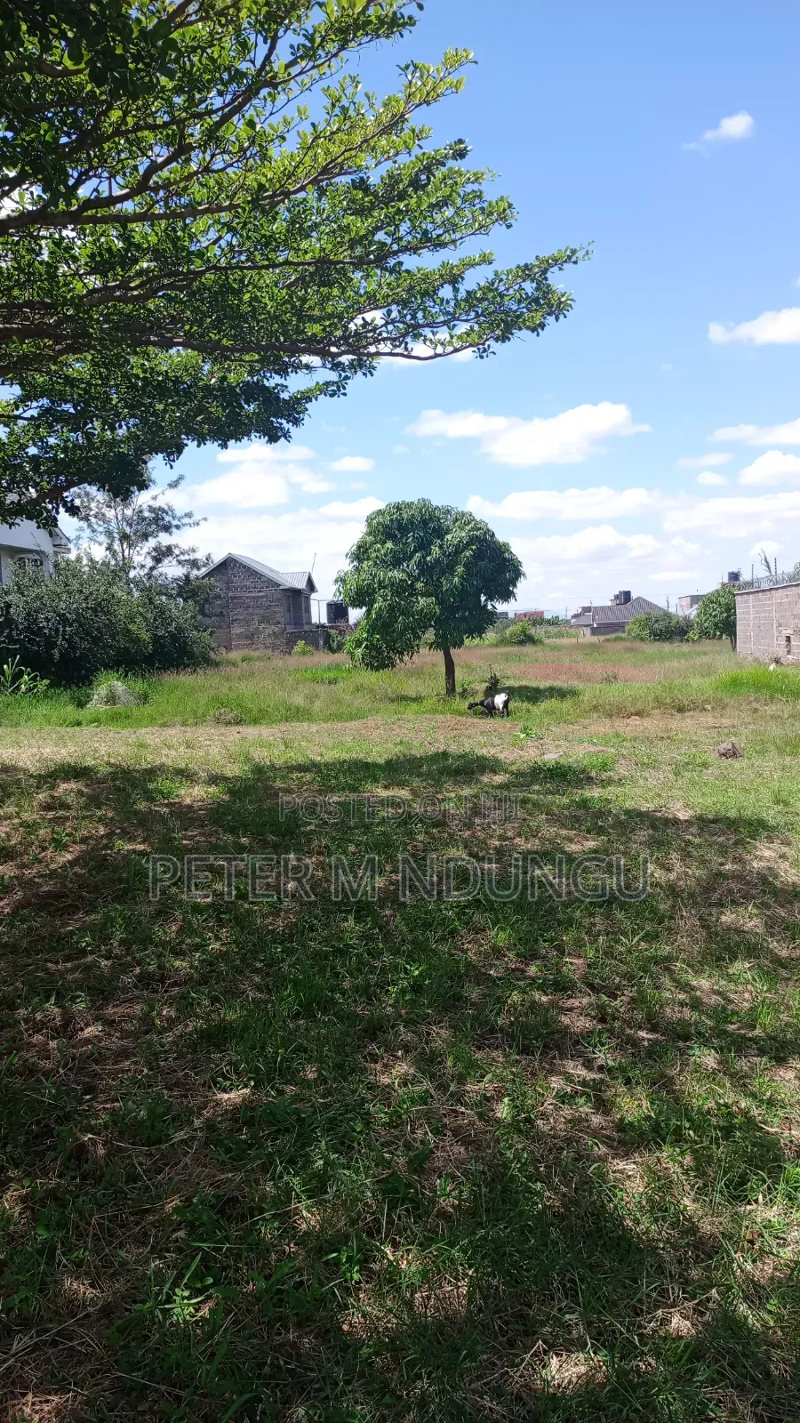 Ruiru-Matangi Junction;Prime Plots 40*60 Ft, Title in Kimbo