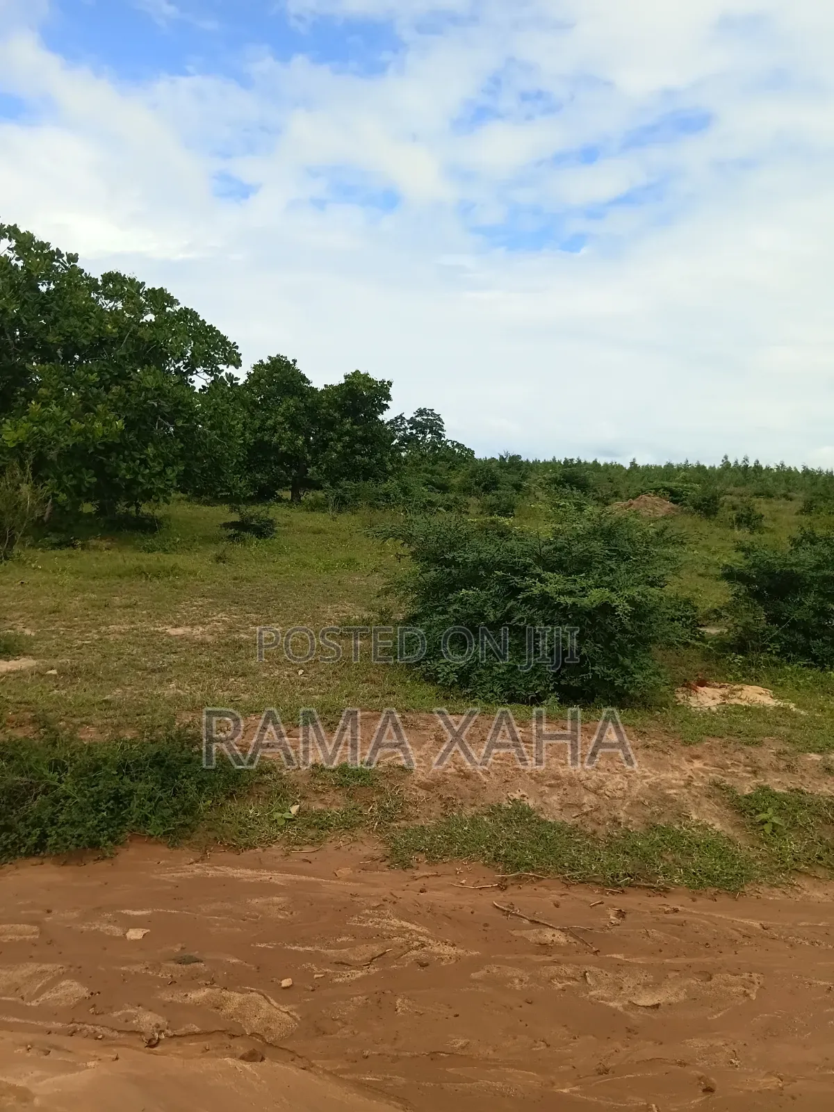 2.5 Acres for Sale at Sosobora With Ready Title Deed in Jilore