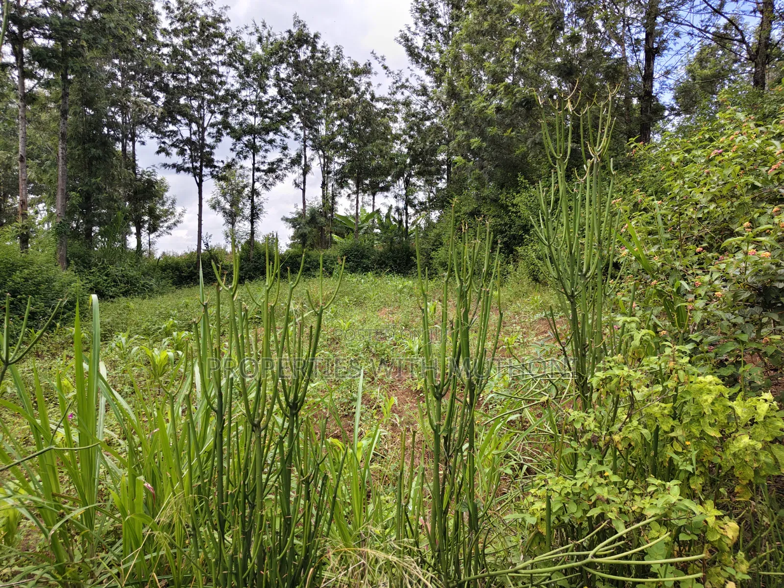 1 Acre for Sale in Merisho, Ngong. in Merisho