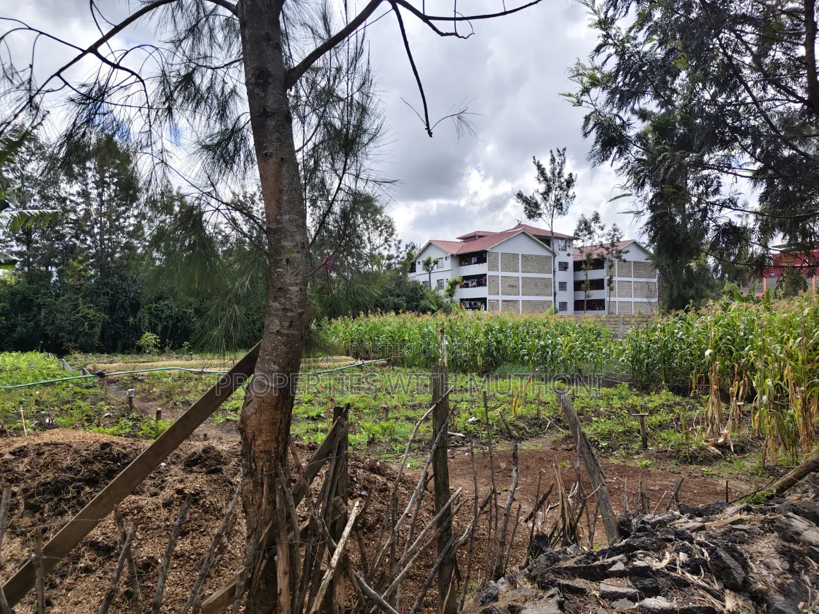 1/4 Acre Plot for Sale in Matasia, Ngong. in Matasia