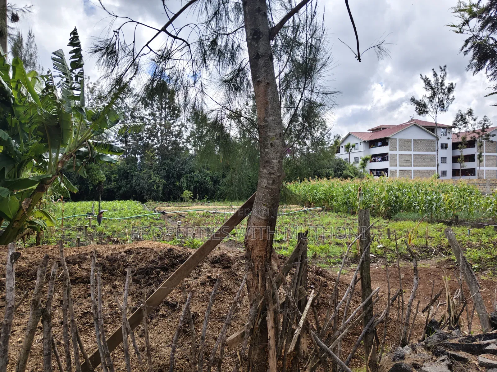 1/4 Acre Plot for Sale in Matasia, Ngong. in Matasia