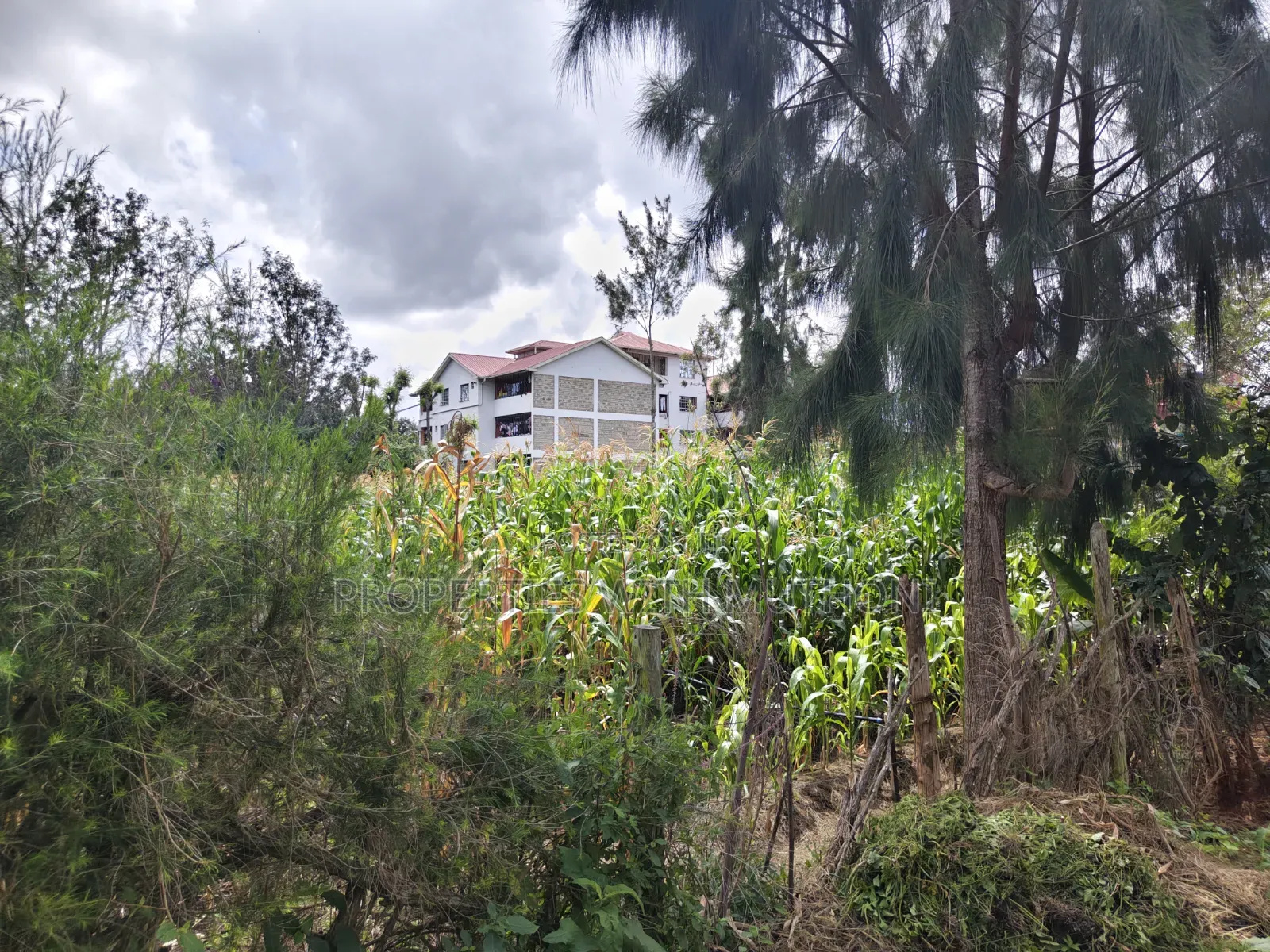 1/4 Acre Plot for Sale in Matasia, Ngong. in Matasia