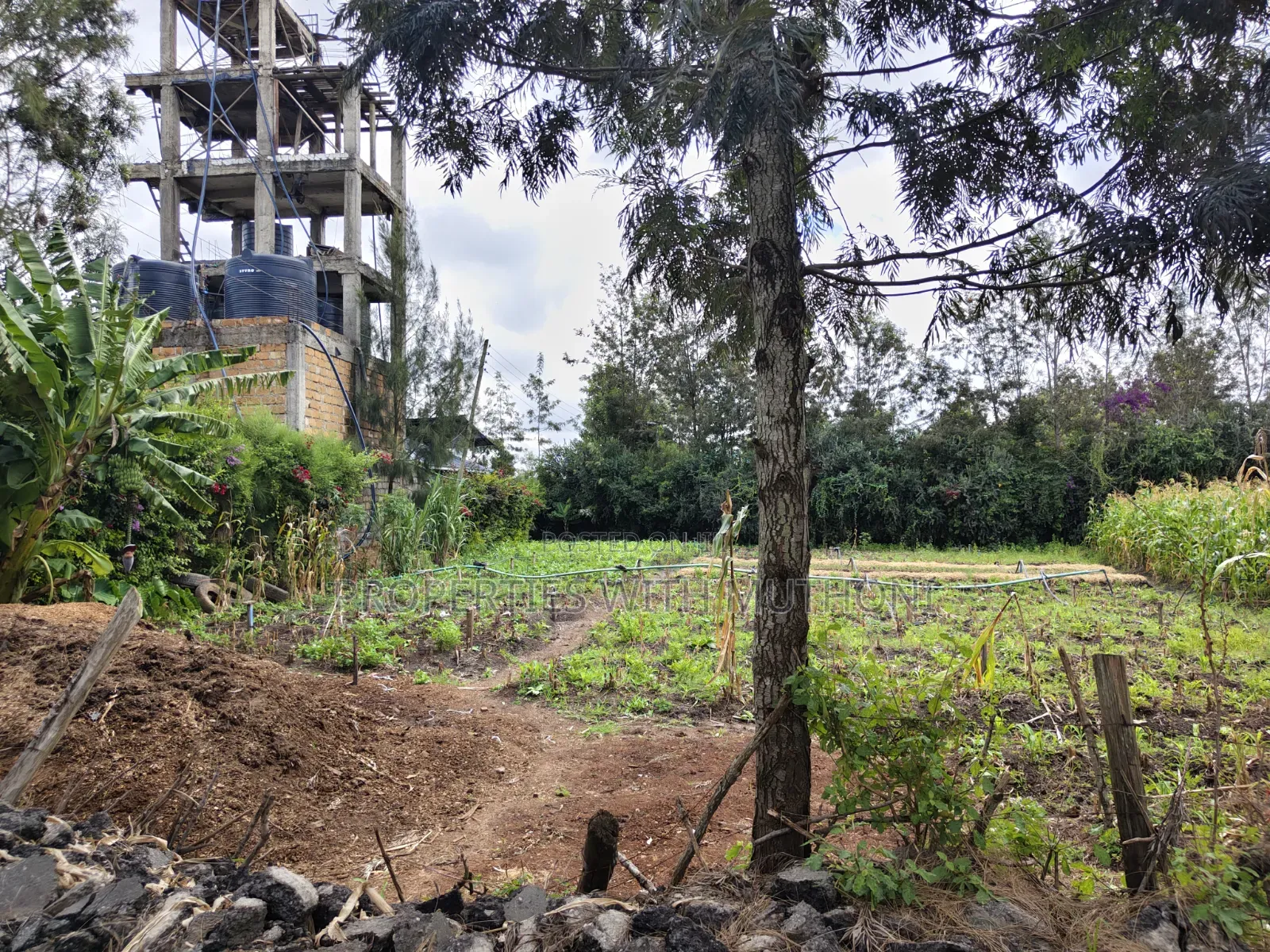 1/4 Acre Plot for Sale in Matasia, Ngong. in Matasia