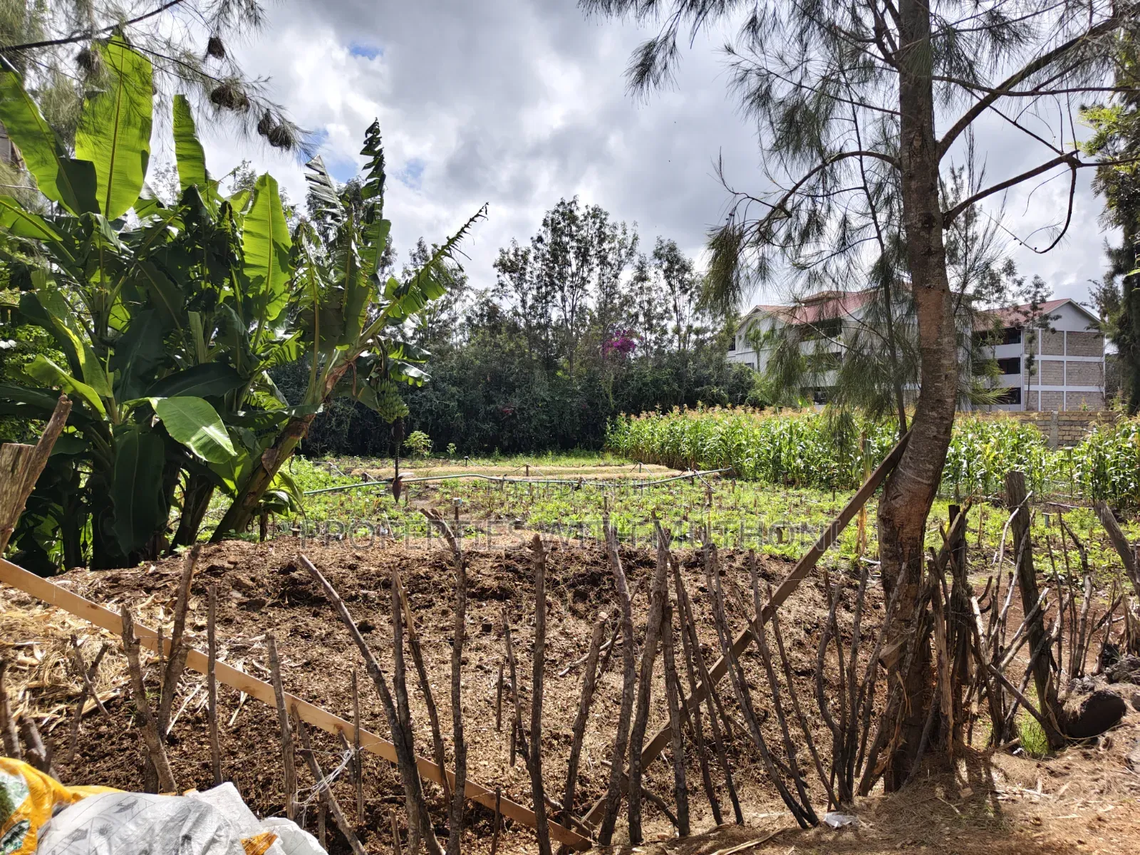 1/4 Acre Plot for Sale in Matasia, Ngong. in Matasia