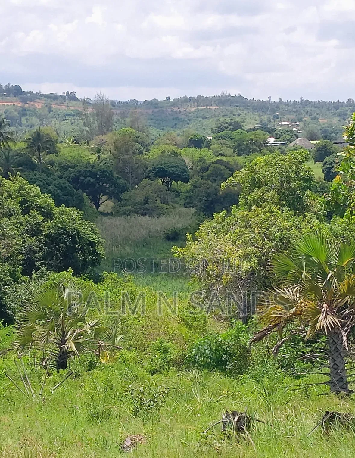7 Acres in Mabokoni Diani on Sale L in Diani