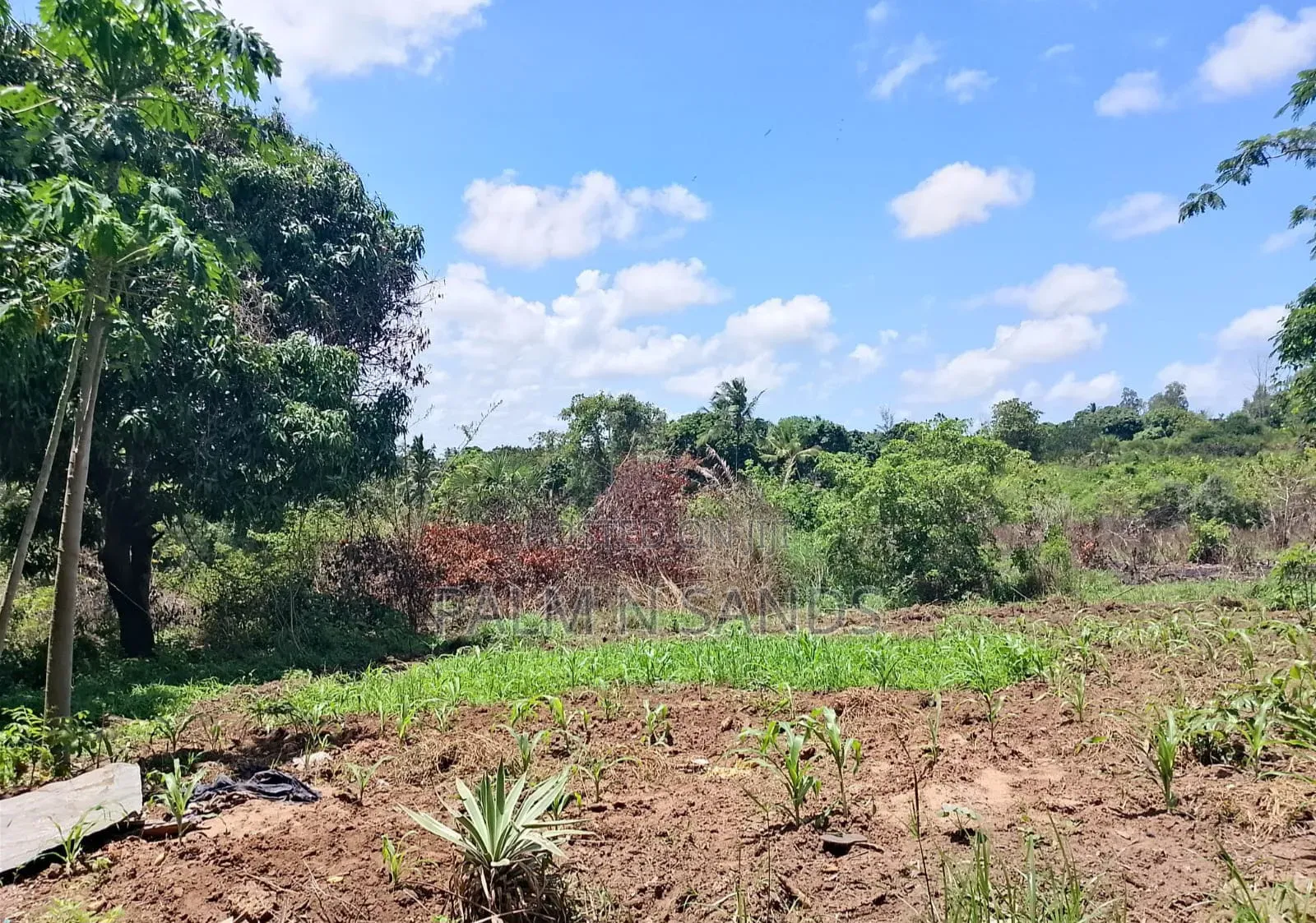 7 Acres in Mabokoni Diani on Sale L in Diani