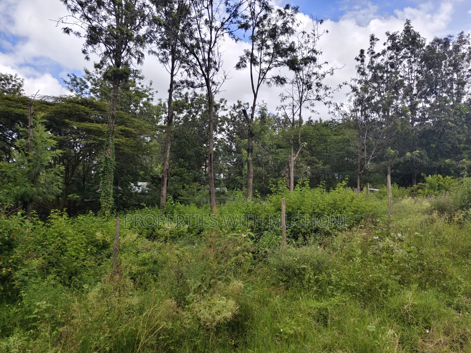1/8 Acre Plot for Sale in Merisho, Ngong. in Merisho