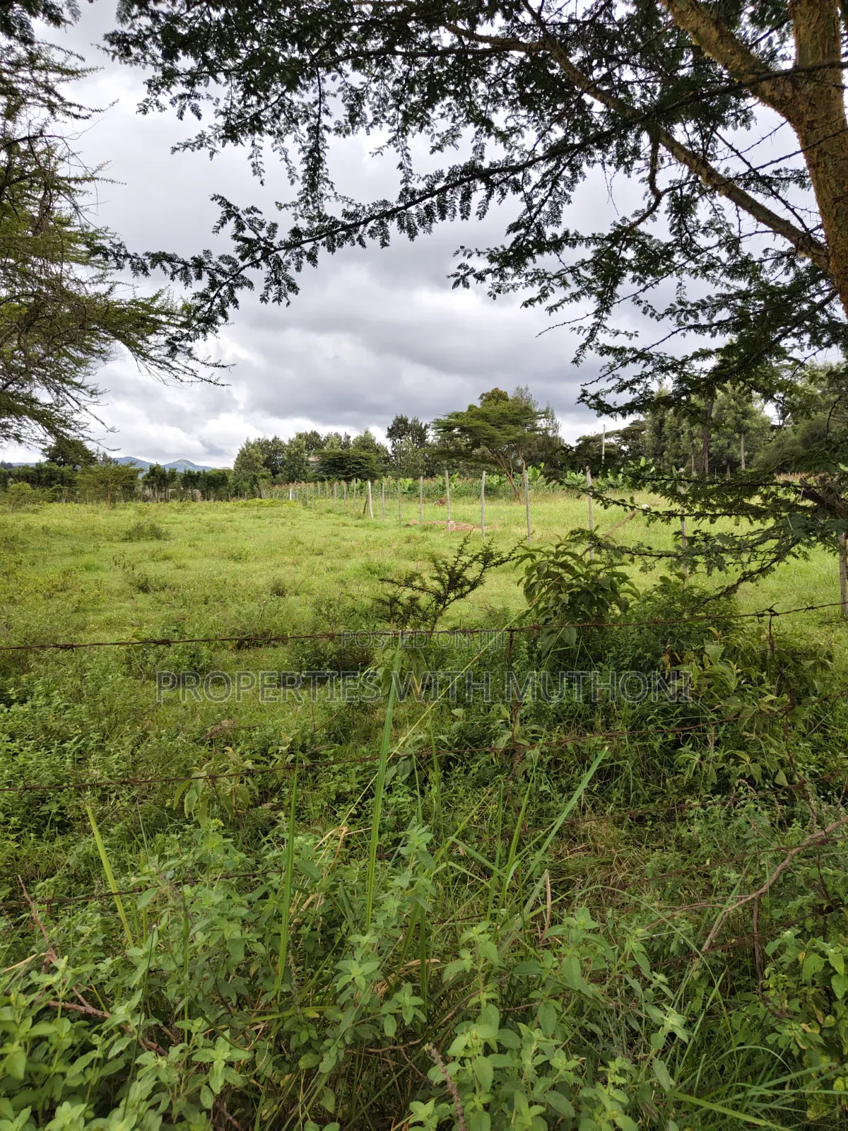 1/8 Acre Plots for Sale in Merisho, Ngong. in Merisho