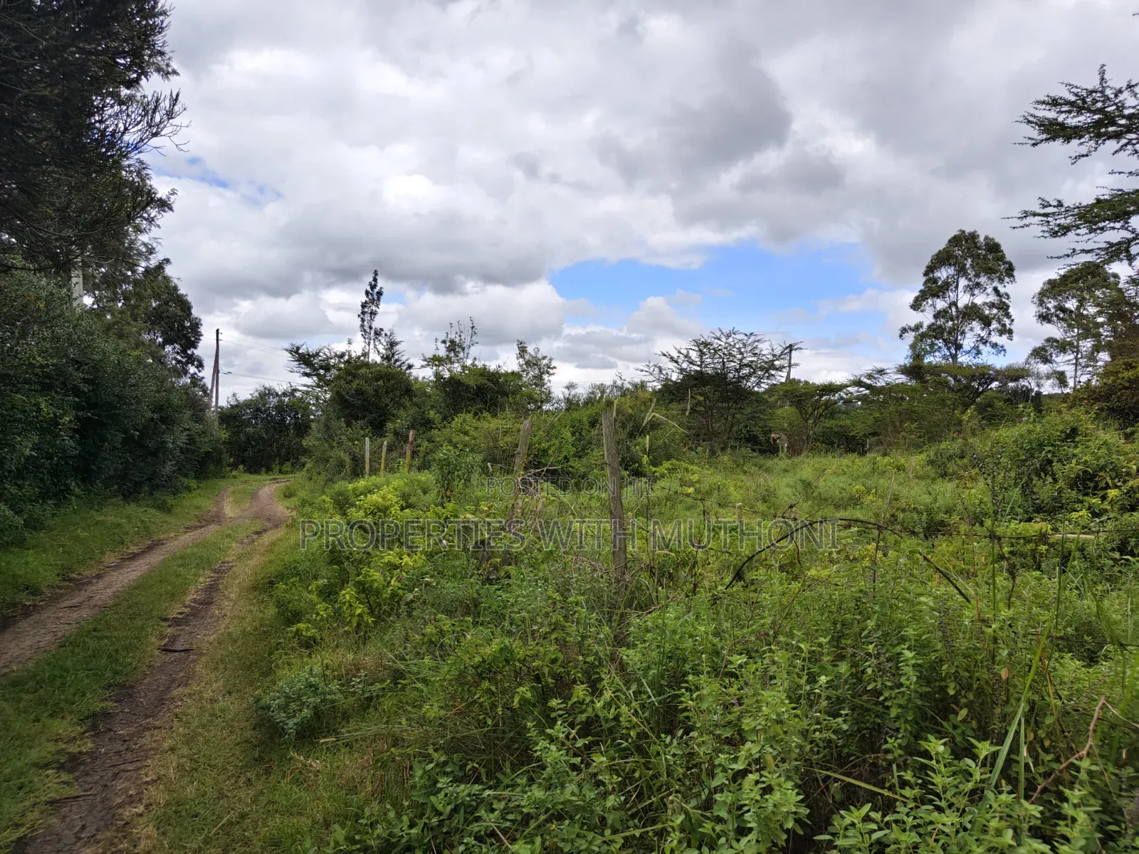 1/8 Acre Plots for Sale in Merisho, Ngong. in Merisho