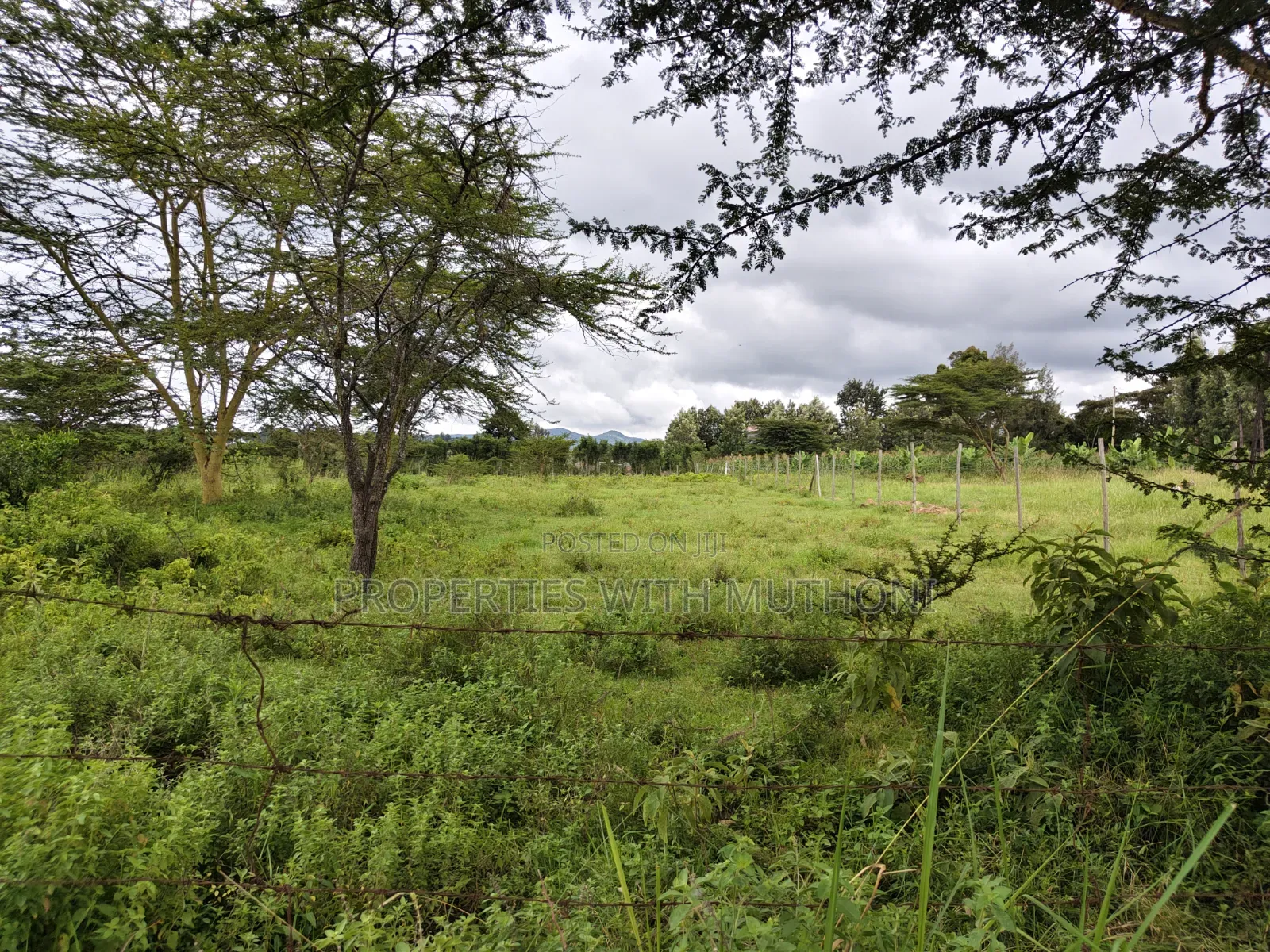 1/8 Acre Plots for Sale in Merisho, Ngong. in Merisho