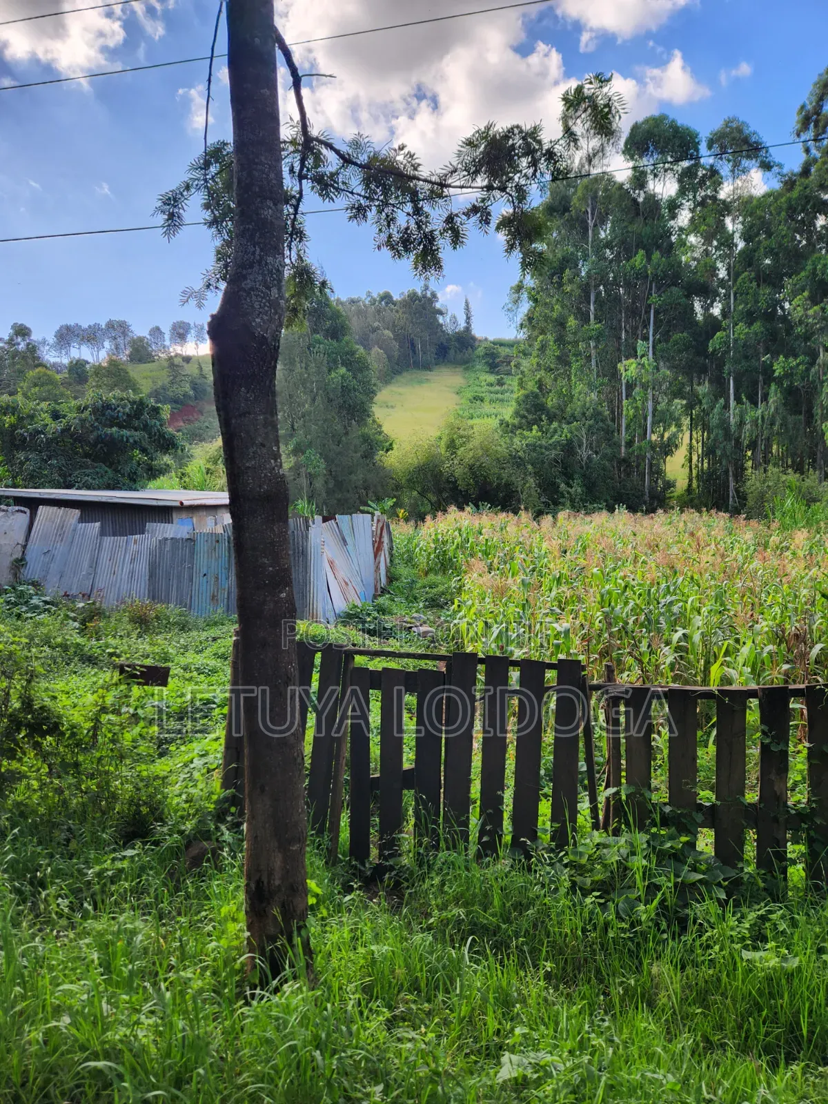 1⁄4 Acre Ngong-Matasia (Silanga Road) in Matasia