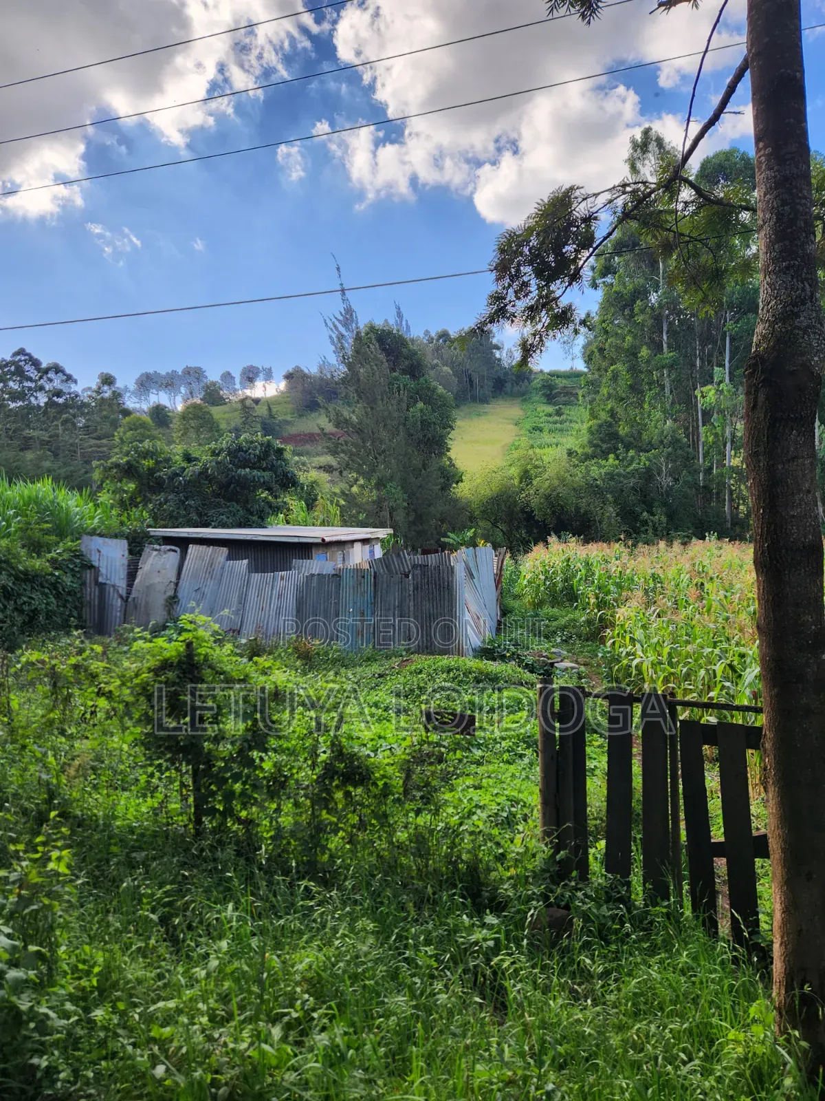 1⁄4 Acre Ngong-Matasia (Silanga Road) in Matasia
