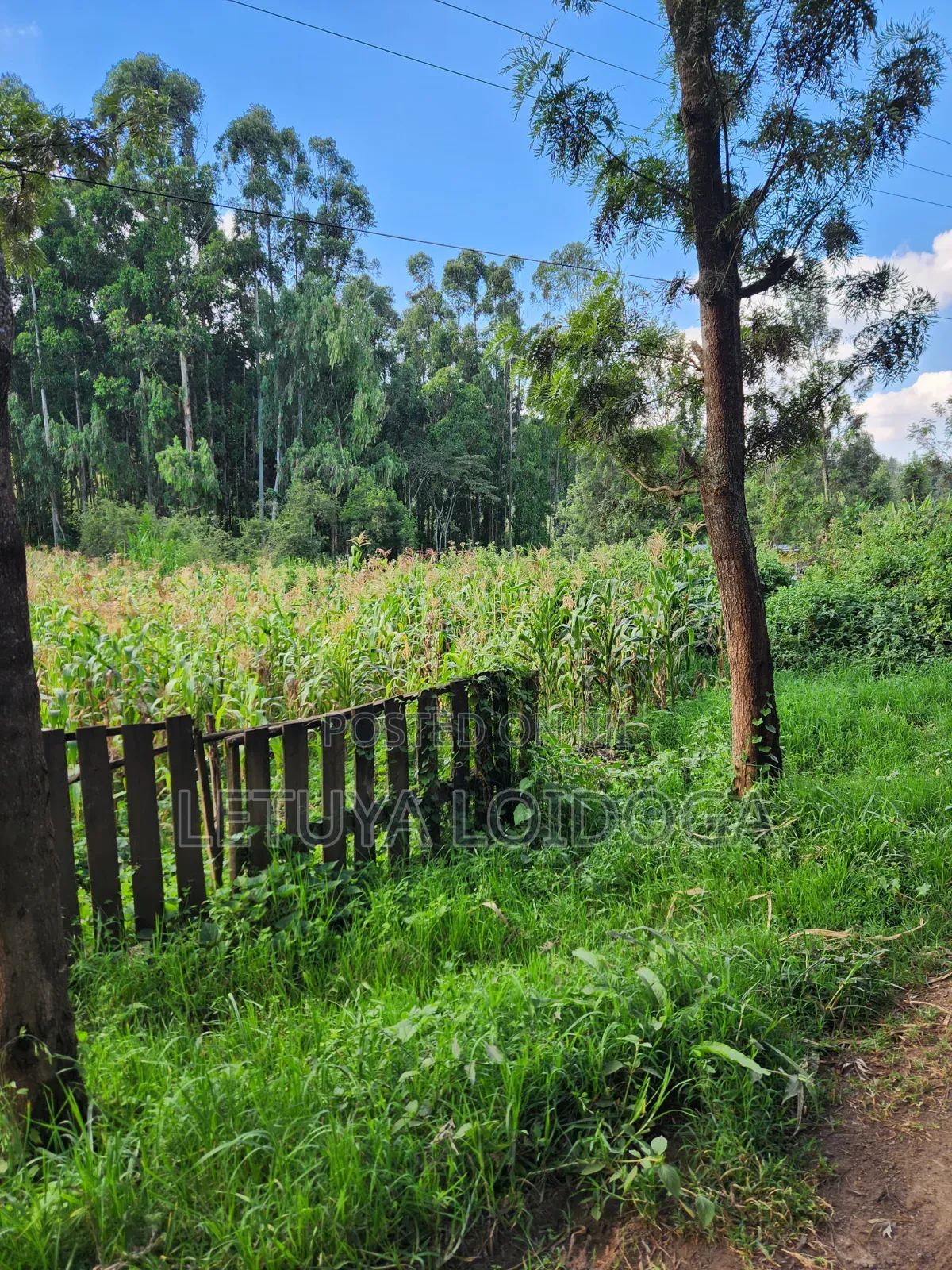 1⁄4 Acre Ngong-Matasia (Silanga Road) in Matasia
