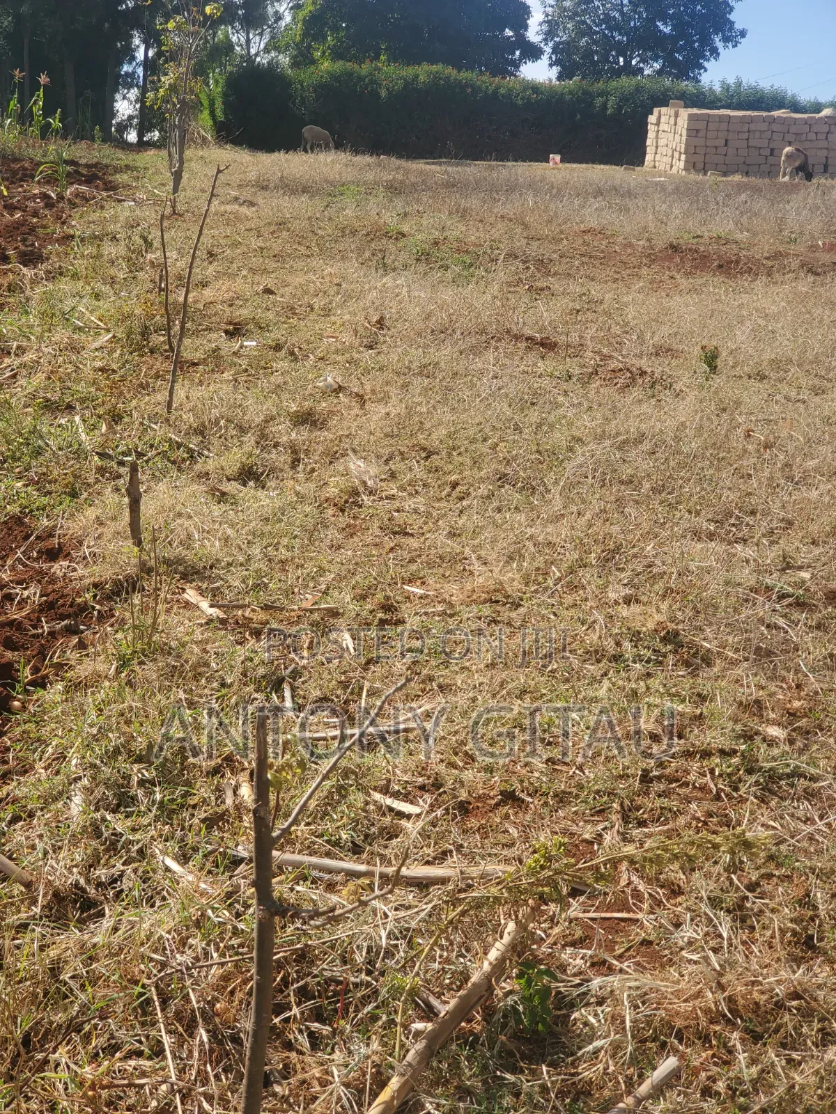 1/8 Plot a Long Kikuyu Bypass 2km to Kikuyu Town in Karai