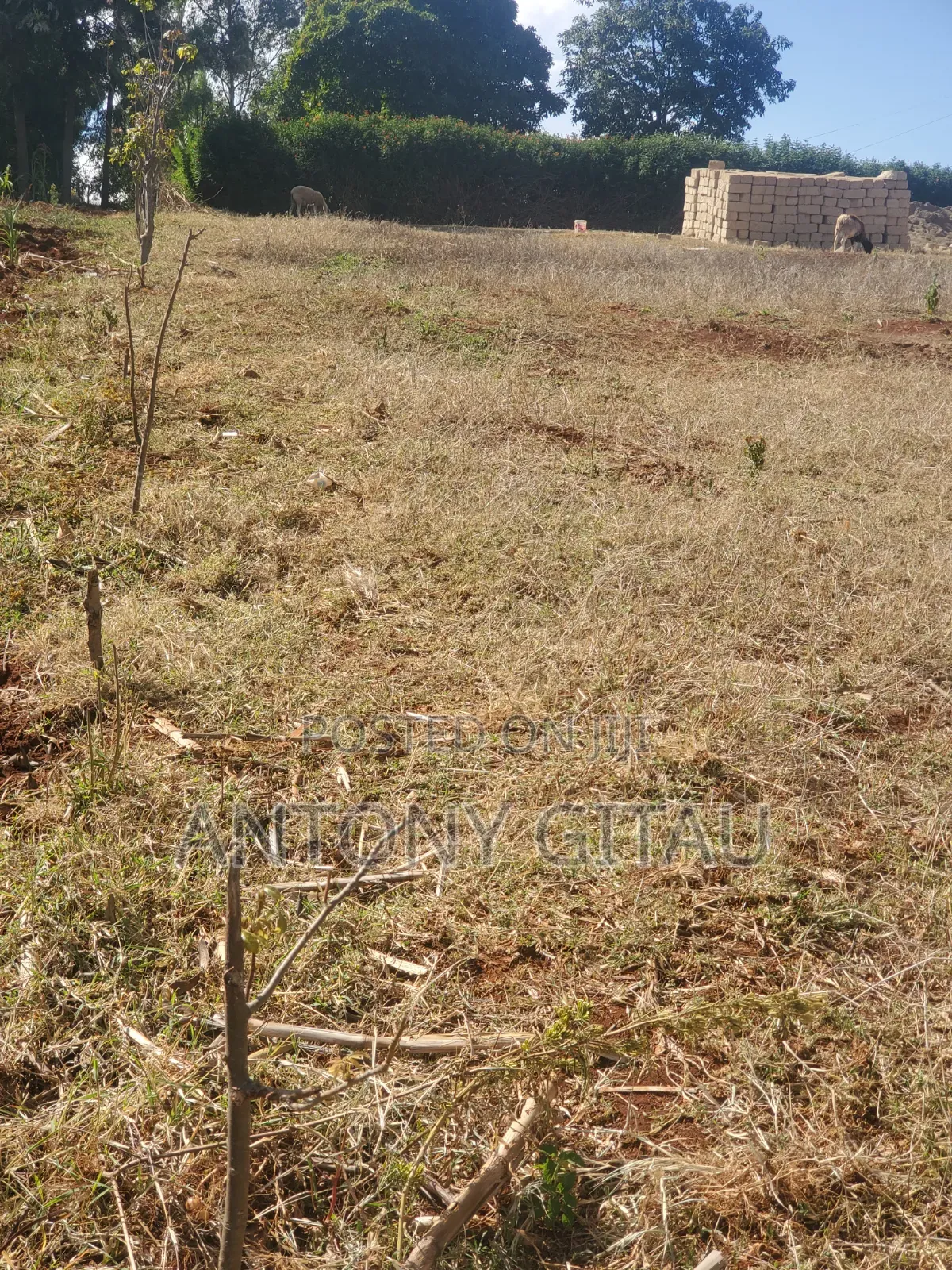 1/8 Plot a Long Kikuyu Bypass 2km to Kikuyu Town in Karai