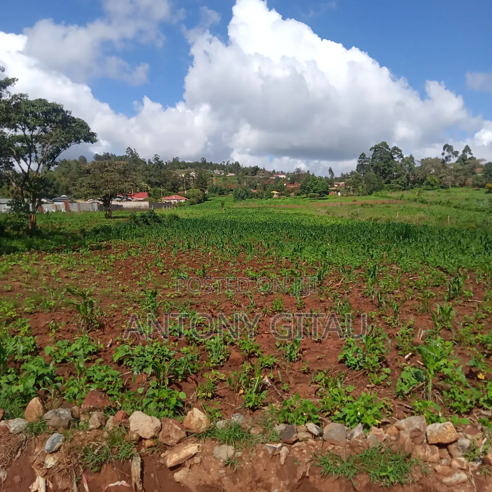 1/4 Plot at Plainsview Estates Gikambura on Sale in Karai