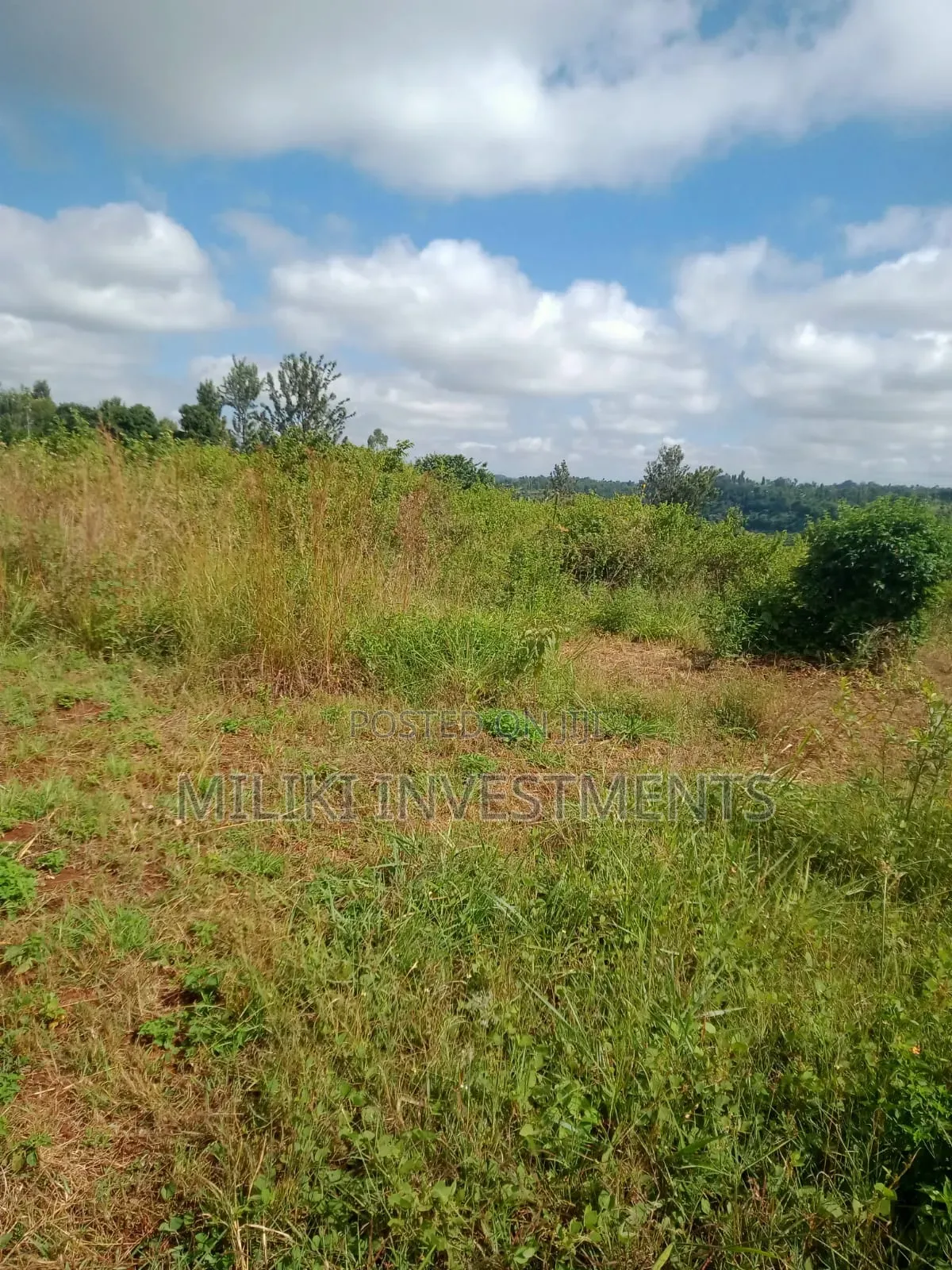 3.25 Acres on Sale at Maragua in Ichagaki