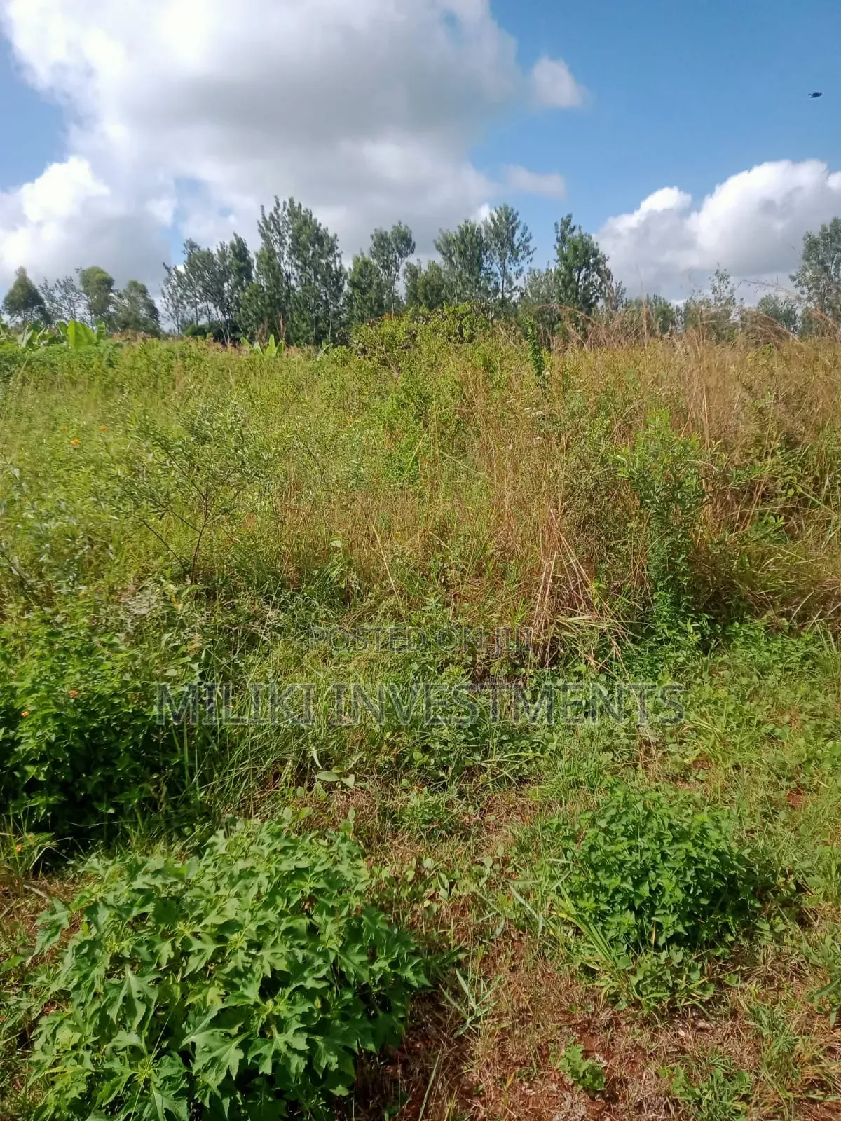3.25 Acres on Sale at Maragua in Ichagaki