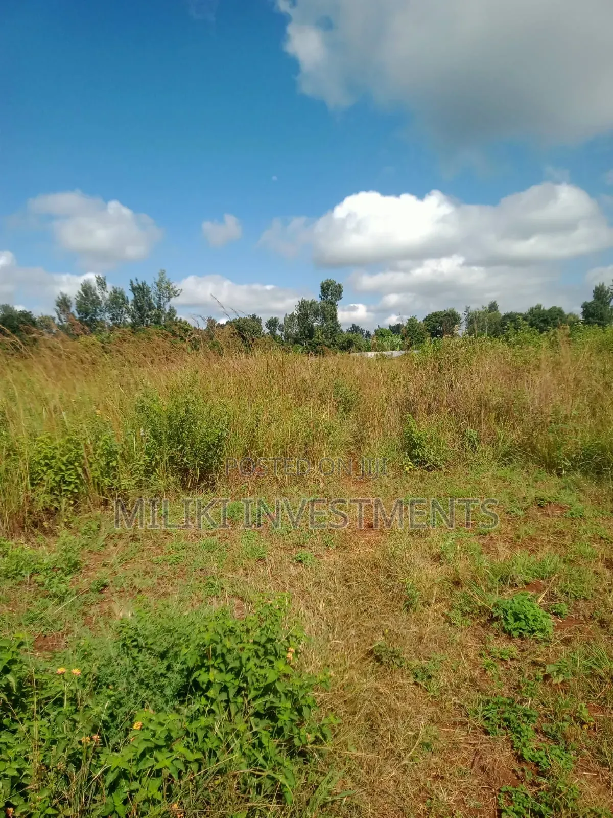 3.25 Acres on Sale at Maragua in Ichagaki