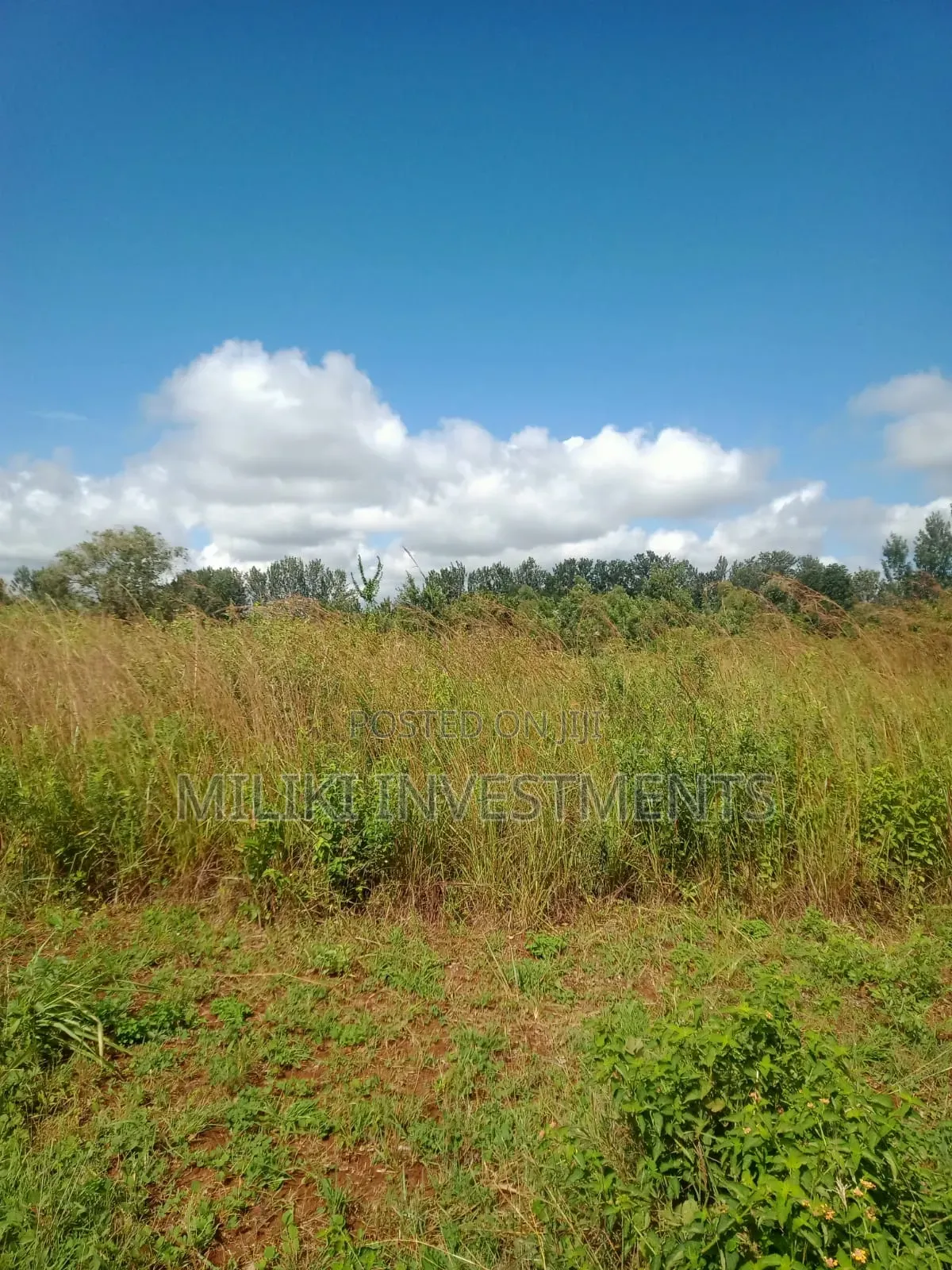 3.25 Acres on Sale at Maragua in Ichagaki