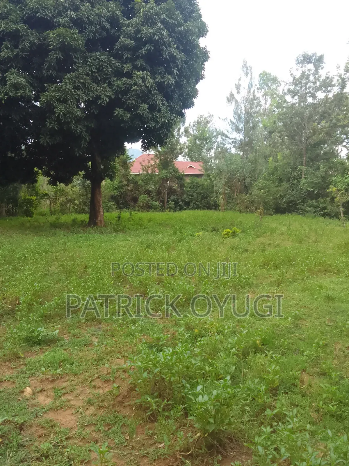 Prime Land in Kisumu Mamboleo in Kajulu