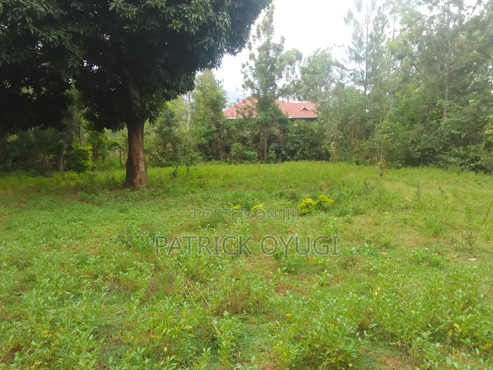 Prime Land in Kisumu Mamboleo in Kajulu