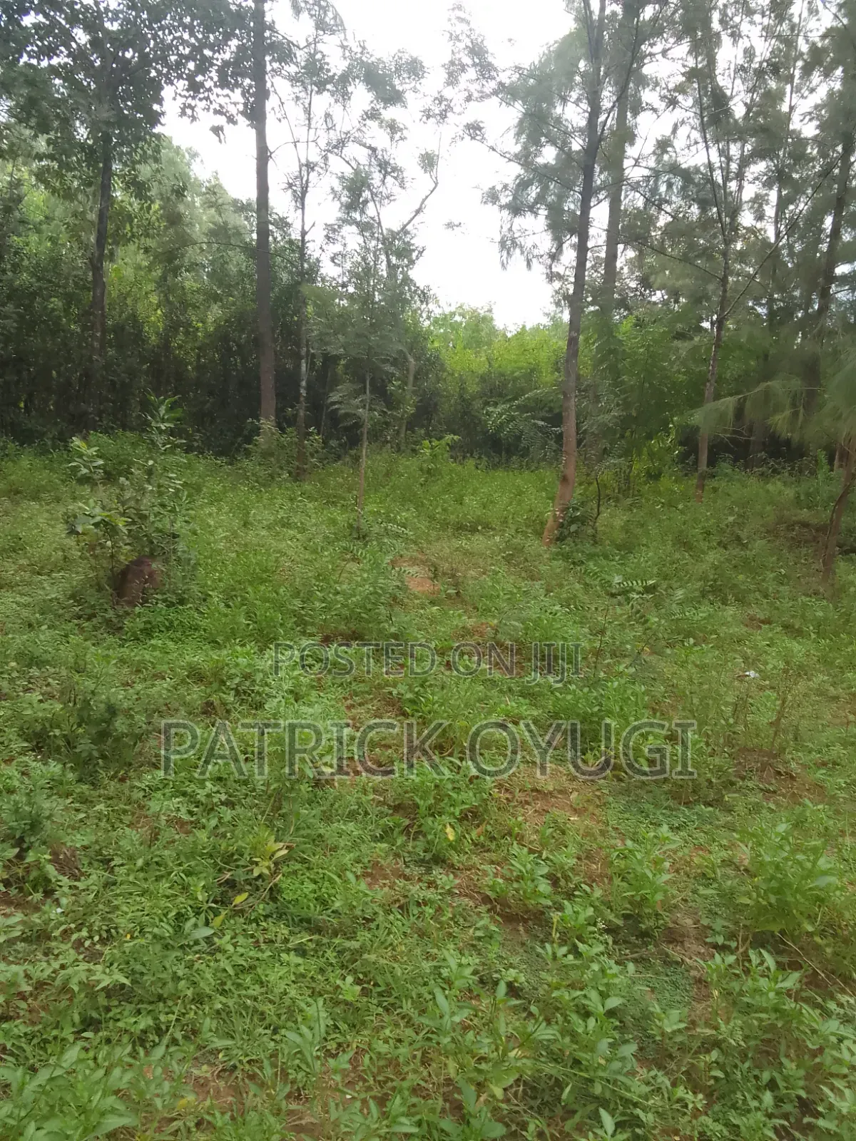 Prime Land in Kisumu Mamboleo in Kajulu