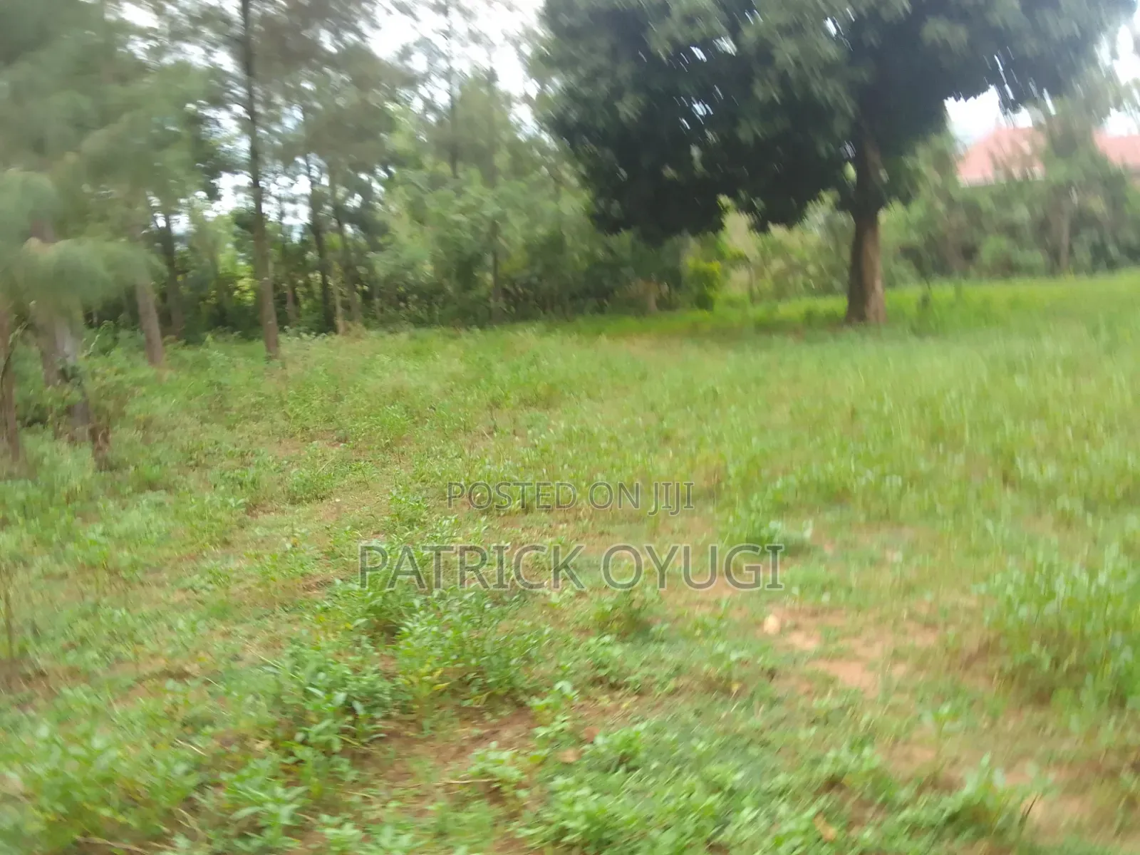 Prime Land in Kisumu Mamboleo in Kajulu