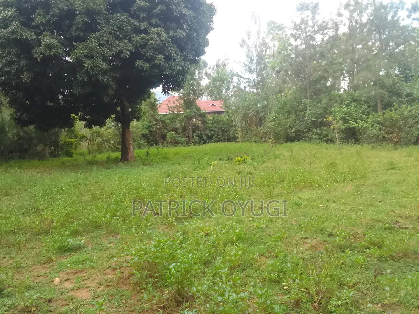 Prime Land in Kisumu Mamboleo in Kajulu