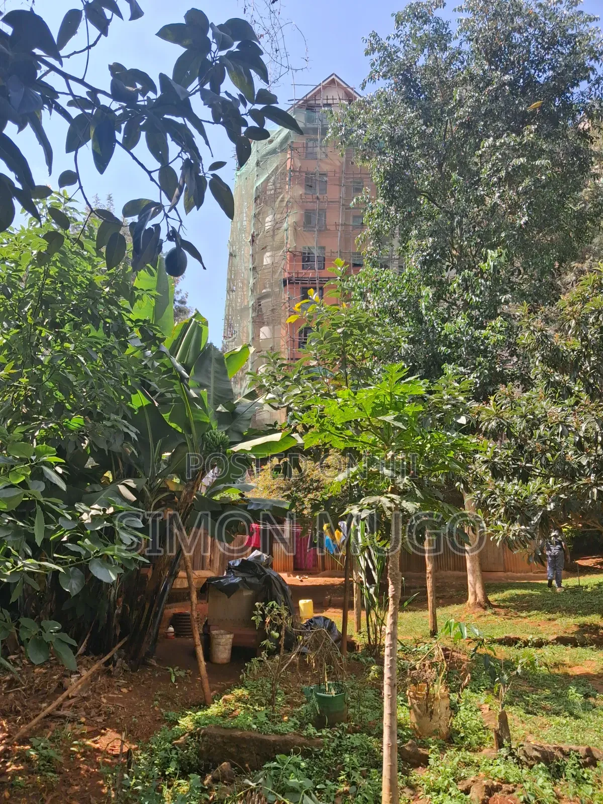 Thindigua Kiambu Road Prime Commercial 97x 163 Corner Plot in Thindigua/Kasarini