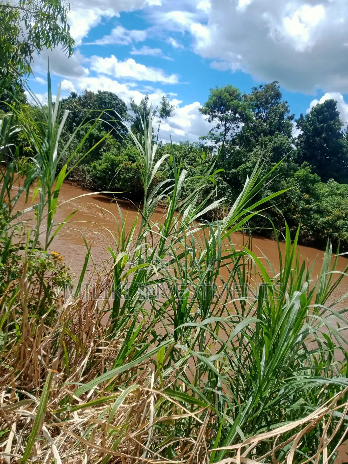 3.6 Acres on Sale at Sagana in Ichagaki