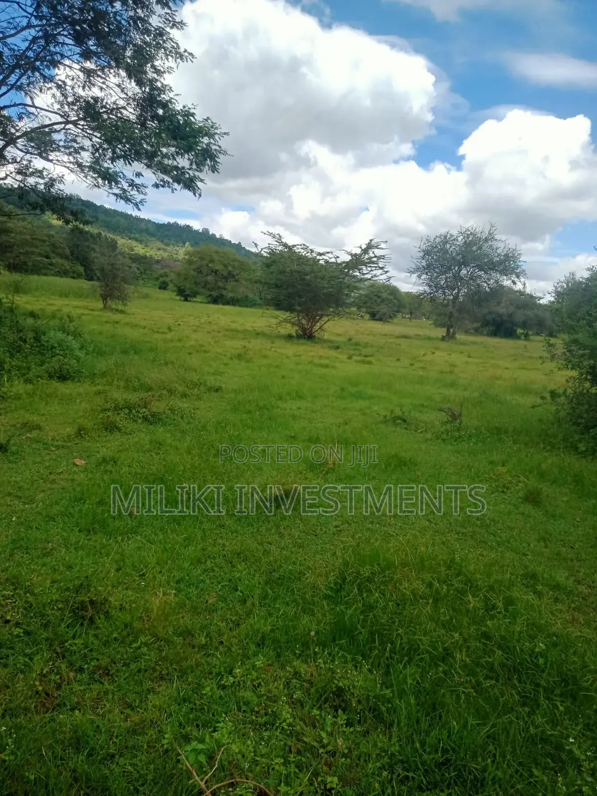 3.6 Acres on Sale at Sagana in Ichagaki