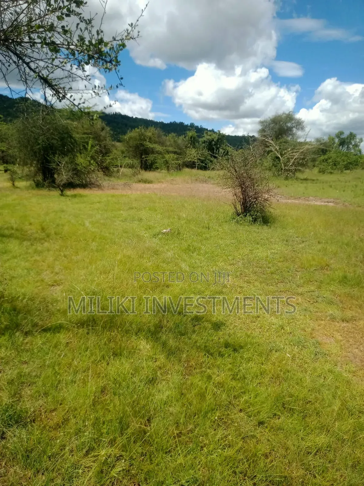 3.6 Acres on Sale at Sagana in Ichagaki