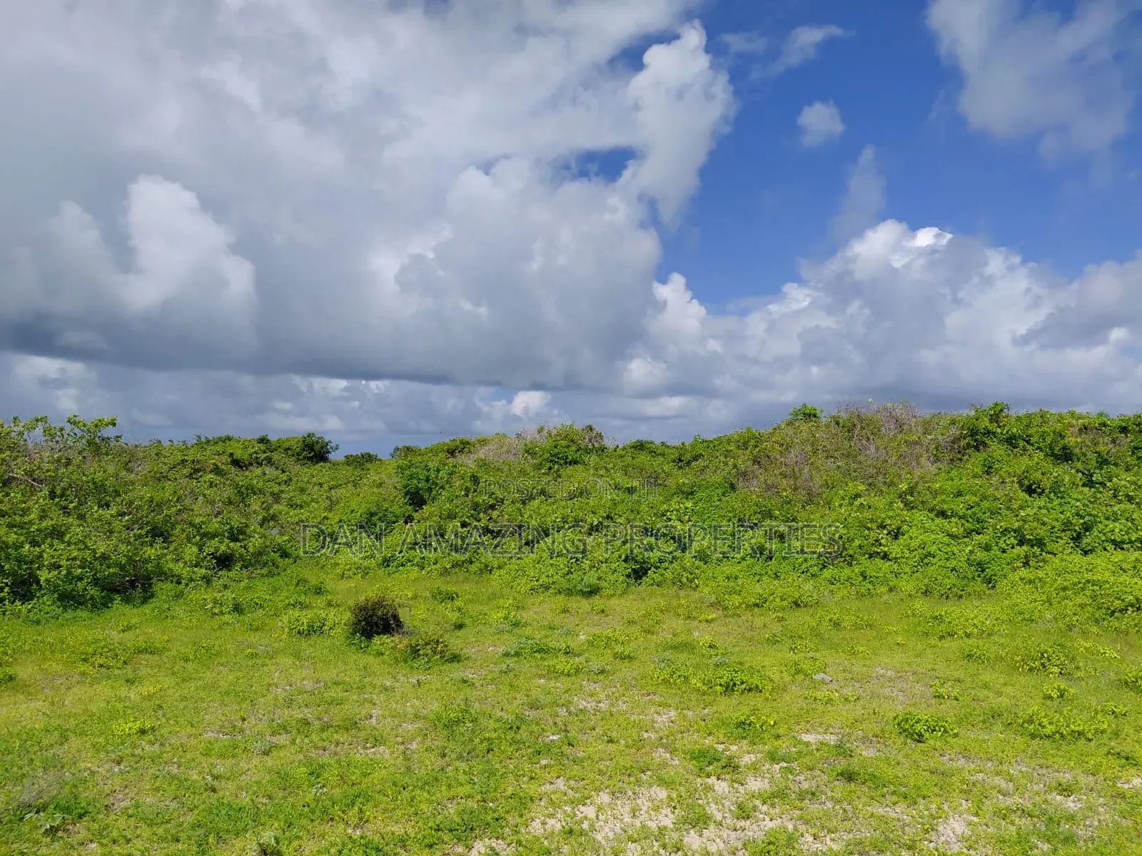 Block of 4 Acres Beach Front Watamu for Sale in Jacaranda Area in Watamu