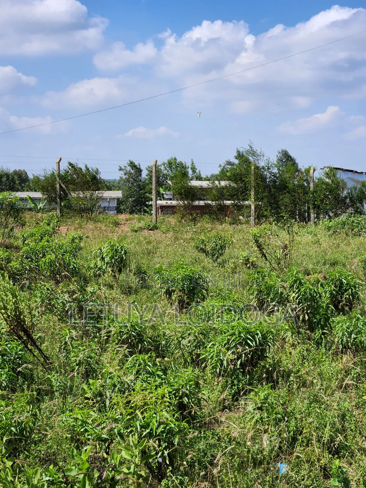 3.8 Acres Ngong-Kibiko (Baboon Crescent) in Kibiku