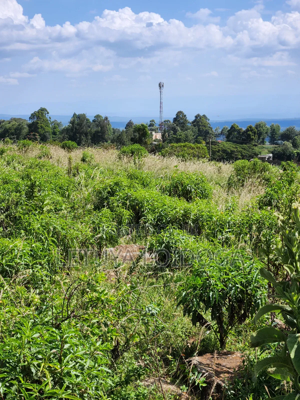 3.8 Acres Ngong-Kibiko (Baboon Crescent) in Kibiku