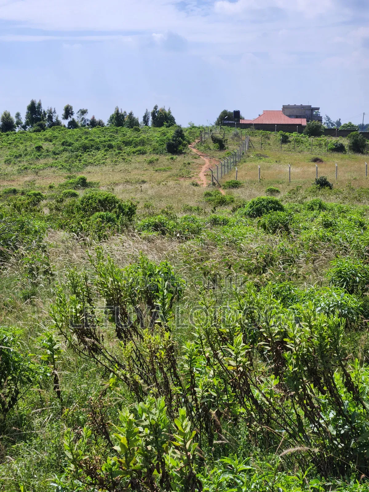 3.8 Acres Ngong-Kibiko (Baboon Crescent) in Kibiku
