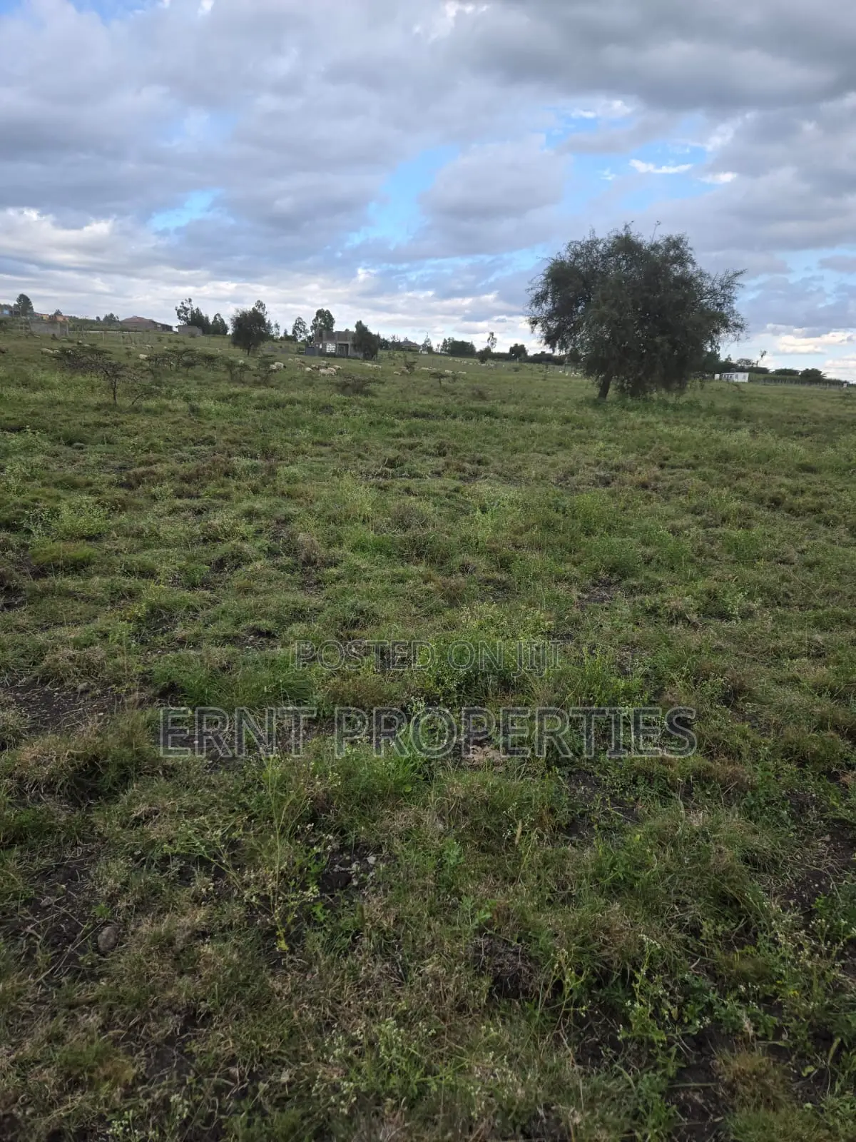 Quick Sale Alert. Two Adjacent 50x100 Plots at Oloika in Kitengela