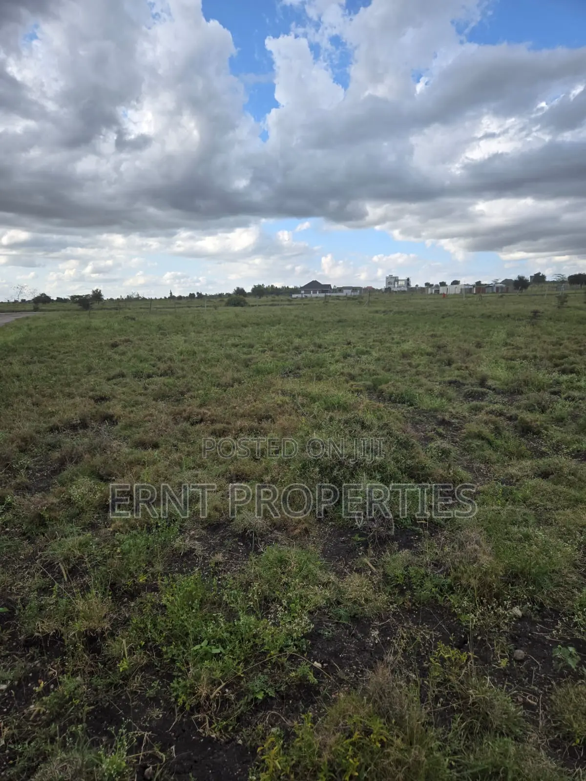 Quick Sale Alert. Two Adjacent 50x100 Plots at Oloika in Kitengela