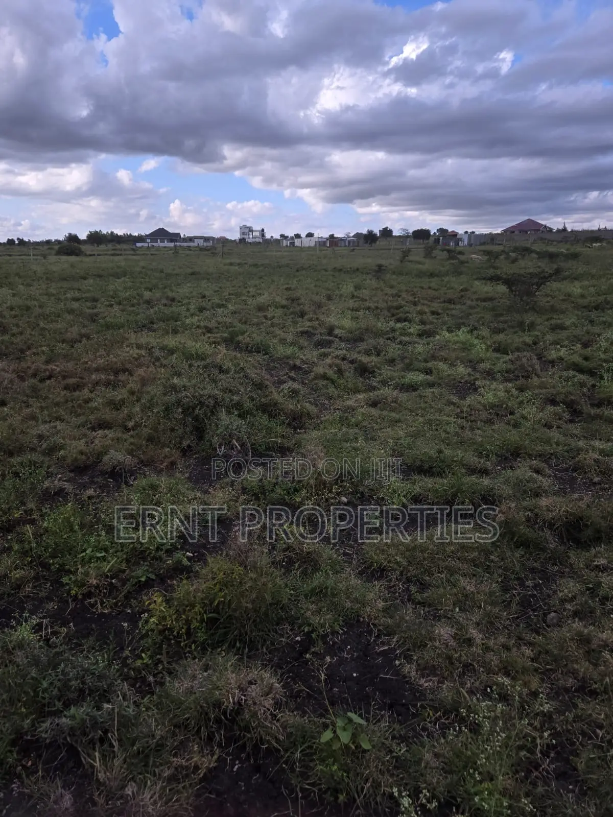 Quick Sale Alert. Two Adjacent 50x100 Plots at Oloika in Kitengela