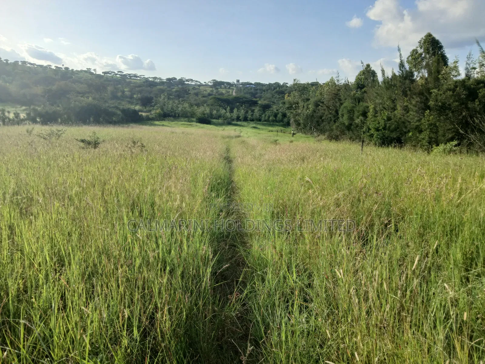 Prime Half Acre Land for Sale Near Oletepes Winners Academy, Kiserian in Kiserian