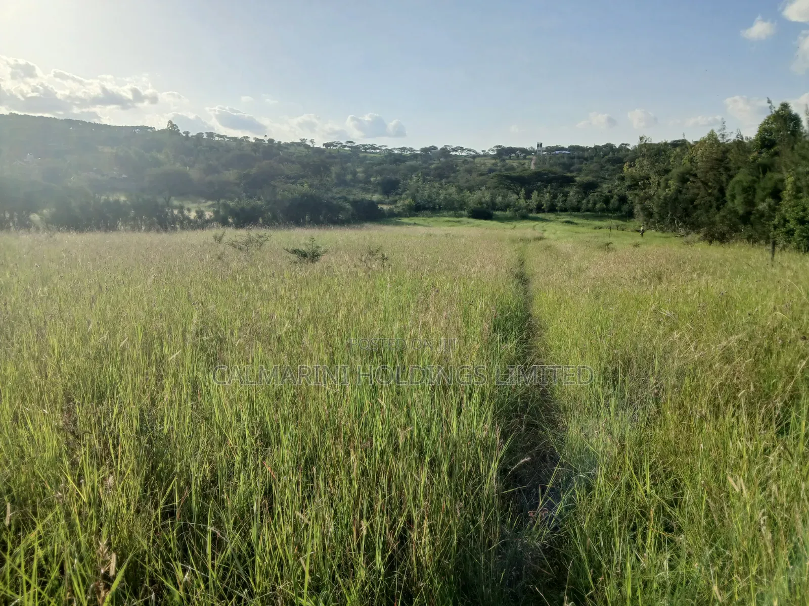 Prime Half Acre Land for Sale Near Oletepes Winners Academy, Kiserian in Kiserian