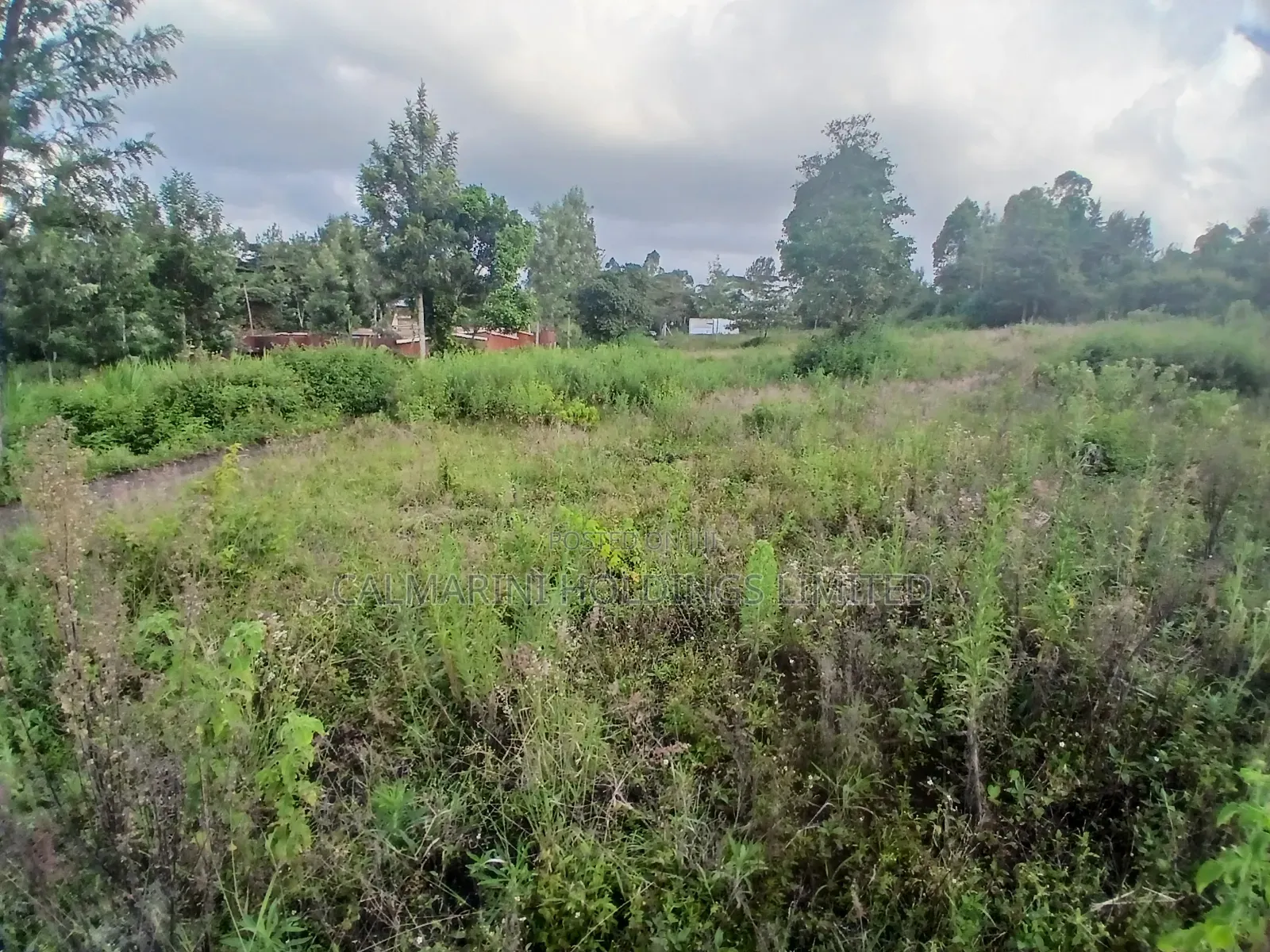 Prime 50 by 100 Plot for Sale in Olkeri, Ngong in Olkeri