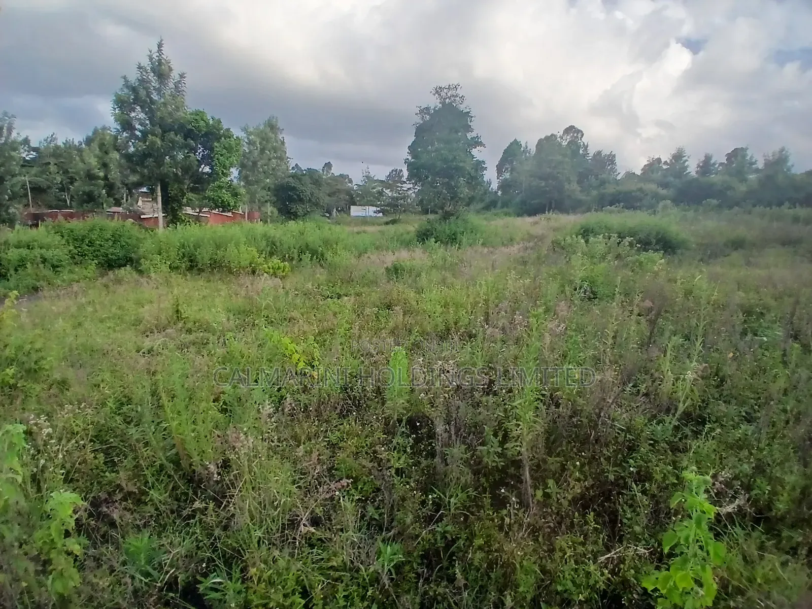 Prime 50 by 100 Plot for Sale in Olkeri, Ngong in Olkeri