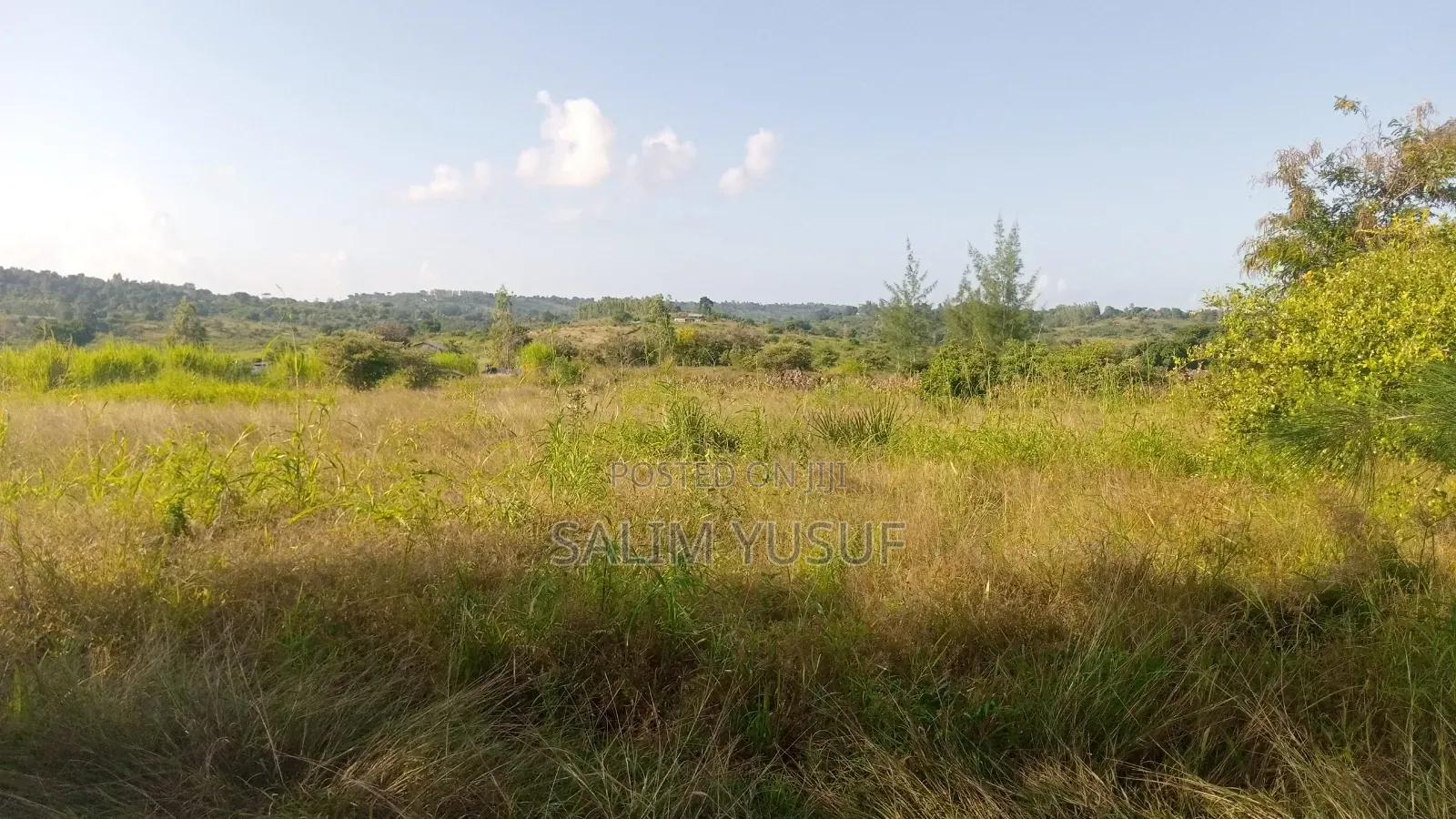 Land on Sale Kwale Count Kundutsi 6 Acres Per Acre in Tsimba Golini