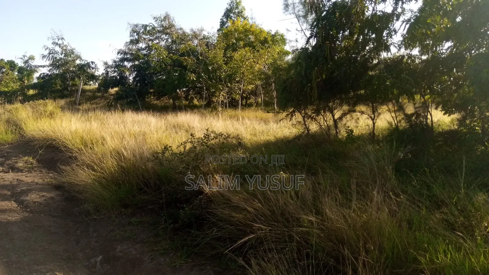 Land on Sale Kwale Count Kundutsi 6 Acres Per Acre in Tsimba Golini