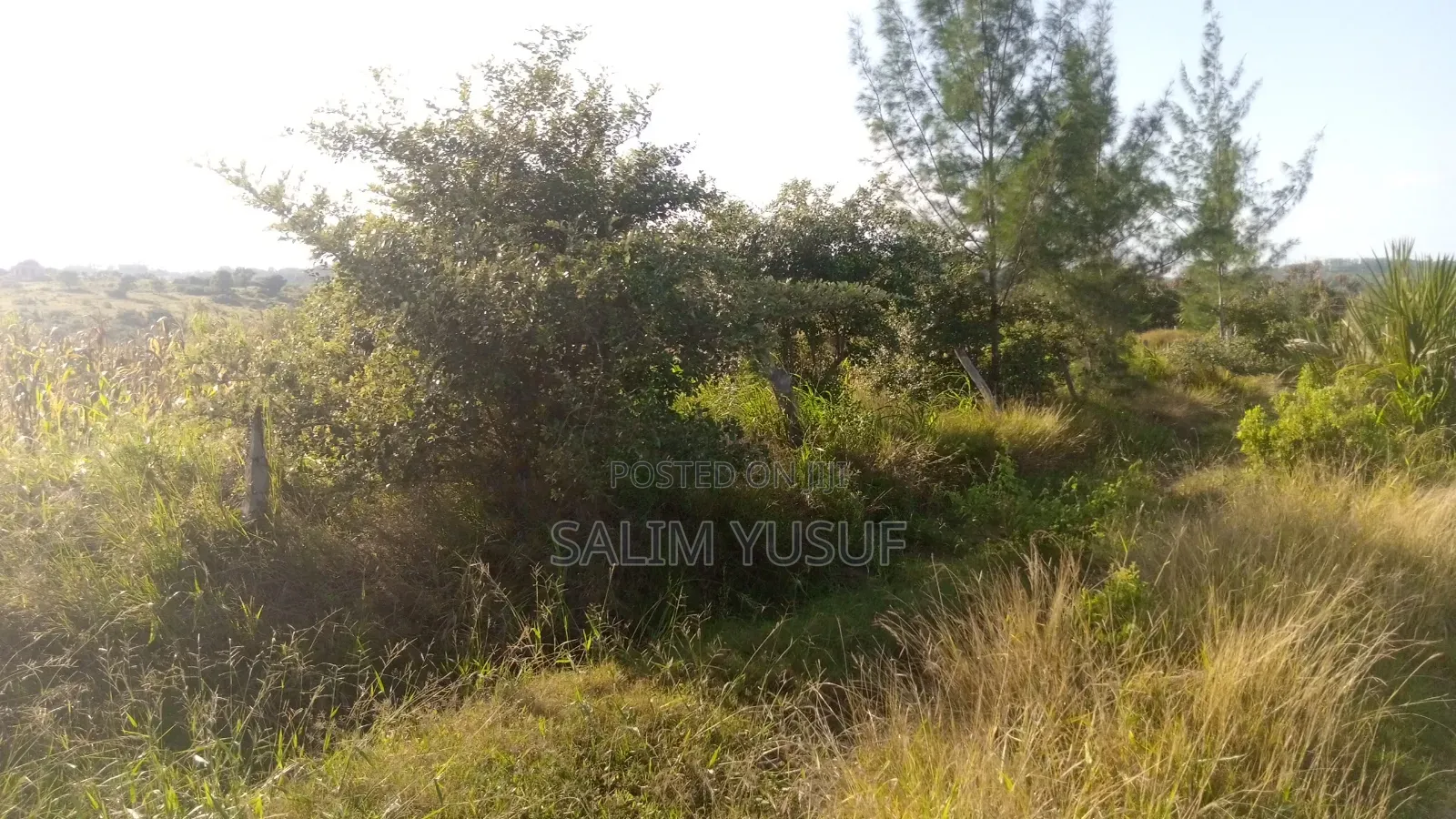 Land on Sale Kwale Count Kundutsi 6 Acres Per Acre in Tsimba Golini