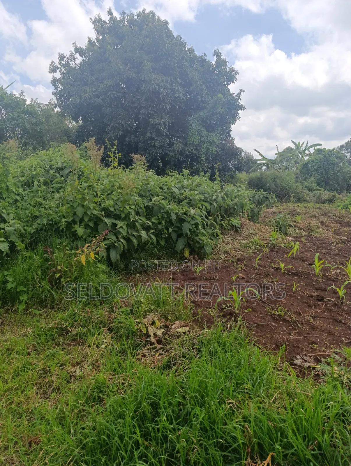 Plot for Lease in Kabete in Wangige