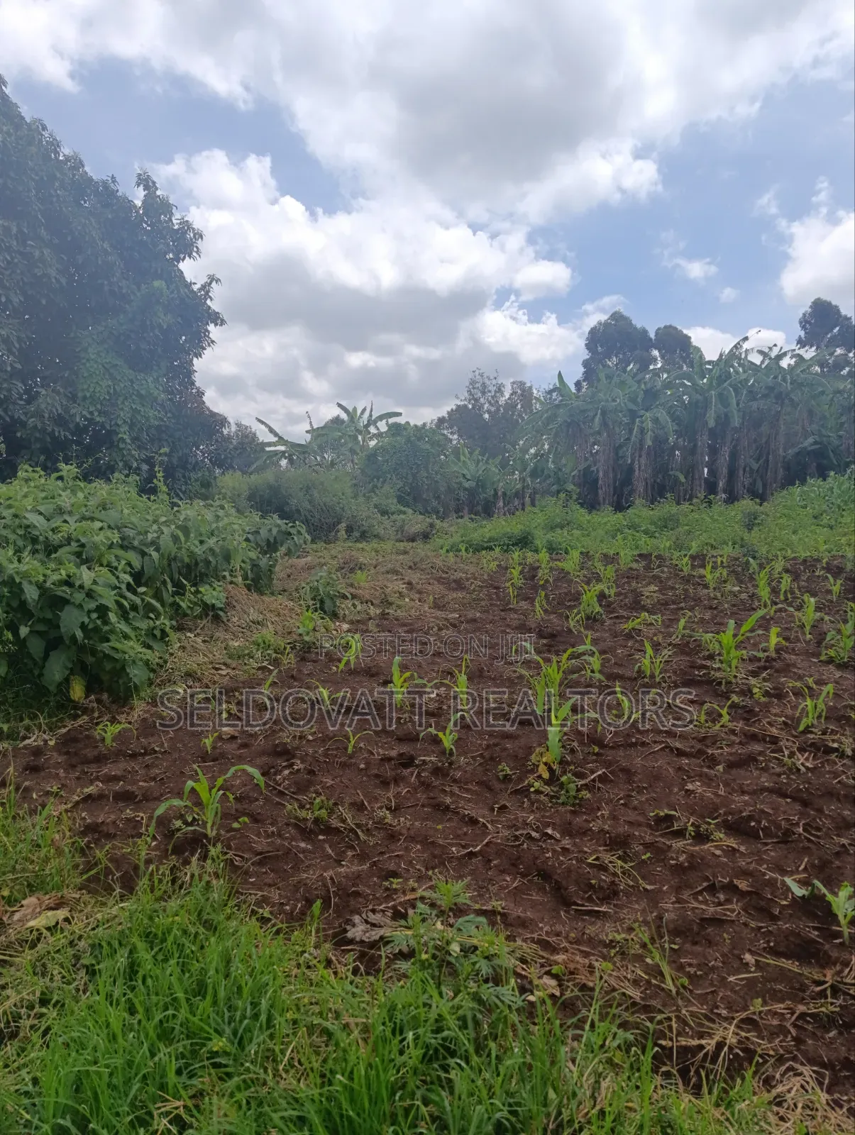 Plot for Lease in Kabete in Wangige